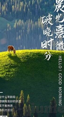 杏彩官网娱乐-杏彩官网娱乐，解锁娱乐新体验